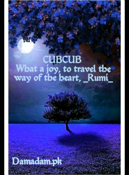 Rumi's words