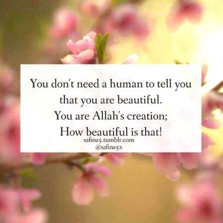 ..Apsuloty...ri8..👌👌