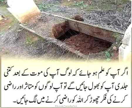 100% agree hona chaye ap