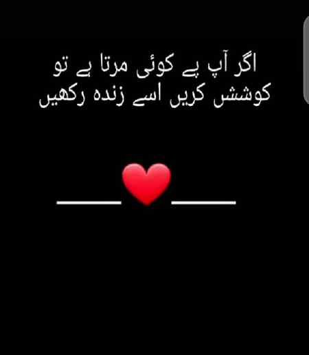 شاید تم نا  واقف ہو میرے مزاج سے ❤

تیری توقع سے بھی  زیادہ سر  پھرا ہوں 🔥🔥