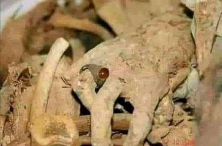 انگھوٹھی سے بھی کم عمر پانے والے
اے انسان تجھے کس بات کا غرور ہے!!