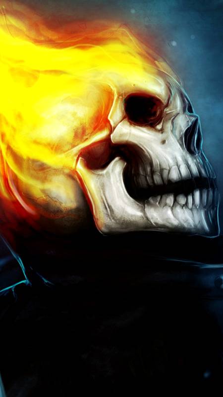 Beautiful skull..