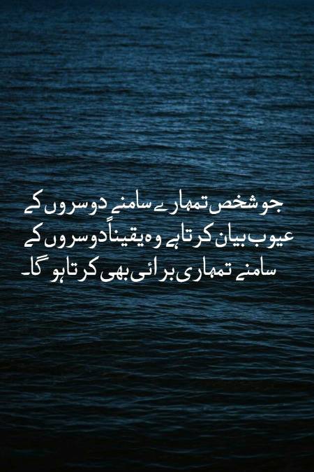 کسی کی برائی تلاش کرنے والے انسان کی مثال اس مکھی جیسی ہے جو پورا جسم چھوڑ کر صرف زخم پر بیٹھتی ہے