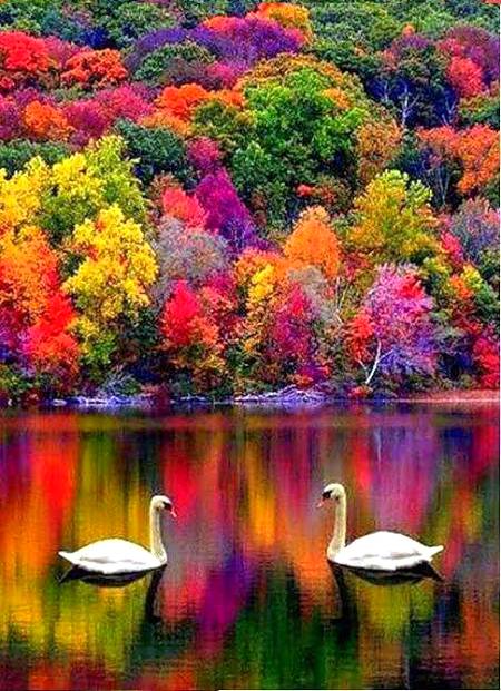 Beauty of nature