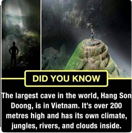 DID YOU KNOW??