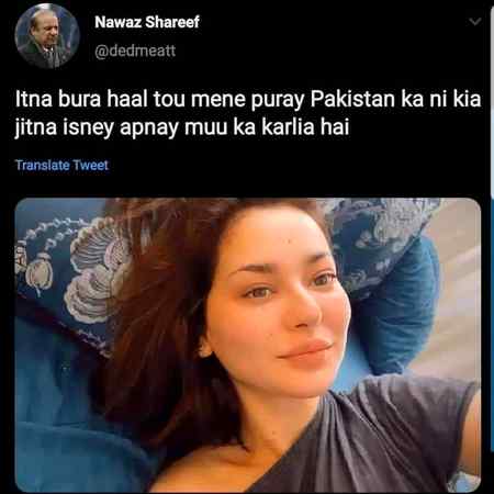 Memes & Satire image