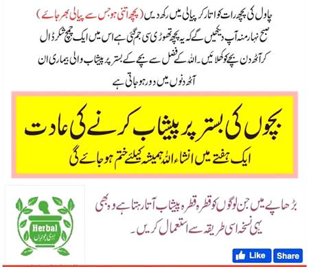 Nice infoo 👇👇👇
