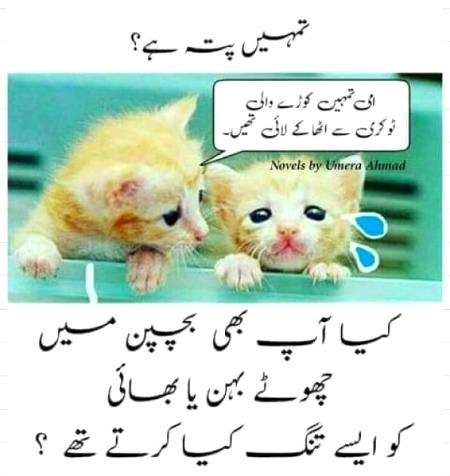 Tumhain pata hy
