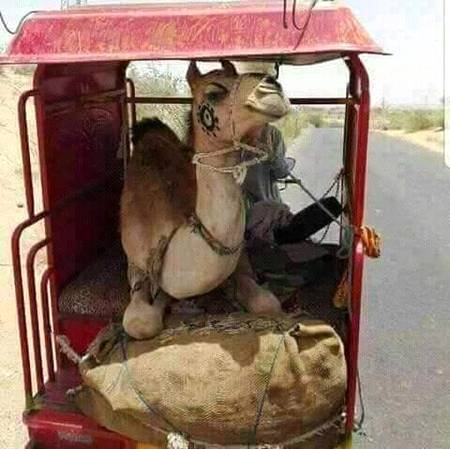 Lo G Pakistanio nay Na mumkin ko mukin krdia rikshy main unht