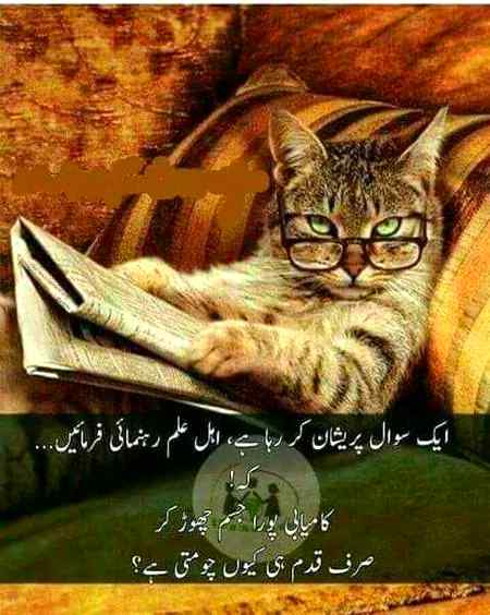 Qadam chomny ki kia vja ho skti hy