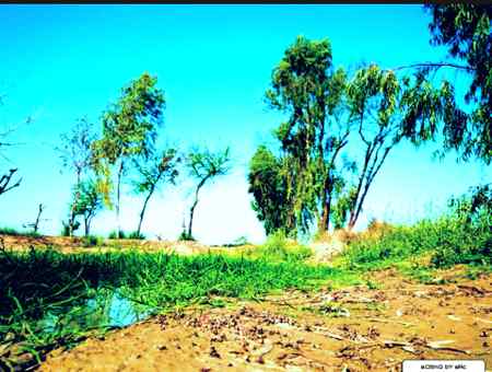 .g3 Village Photography .g3