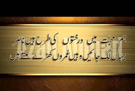 nice one👍👍