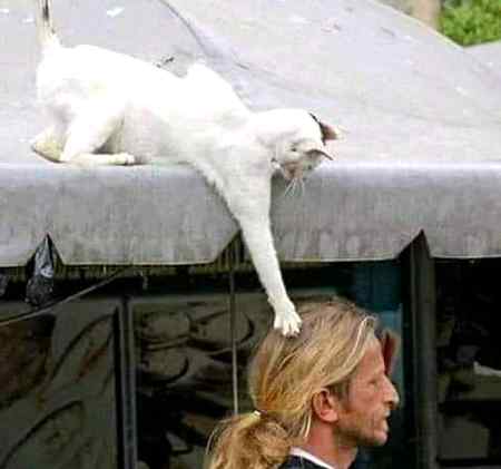 اسکے بعد کیا ہوا جاننے کے لئے دیکھئے 
 اس کے بعد والی پوسٹ 😬