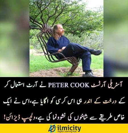 🔥🔥ilmicity🔥🔥