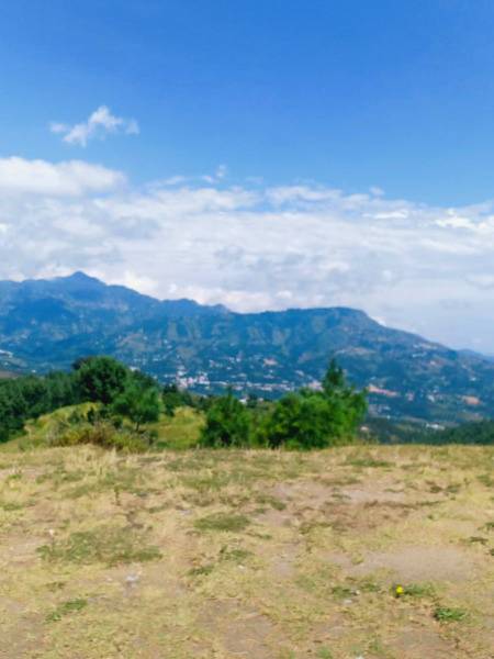 Clicked By Umer 🔥