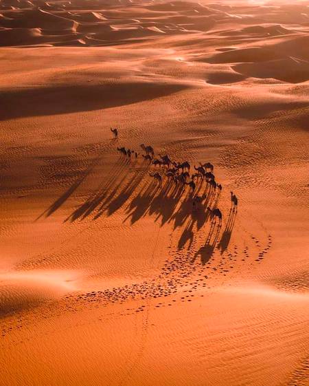 تربیت یافتہ 🔥🔥