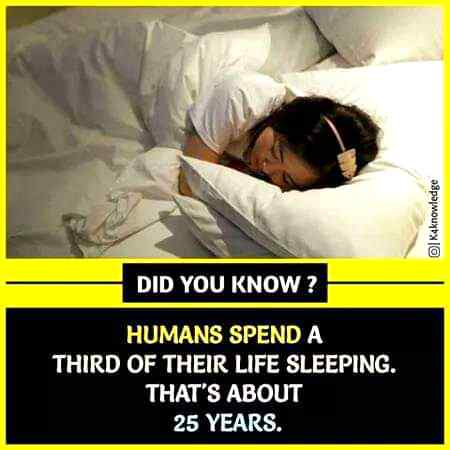 Did you know?