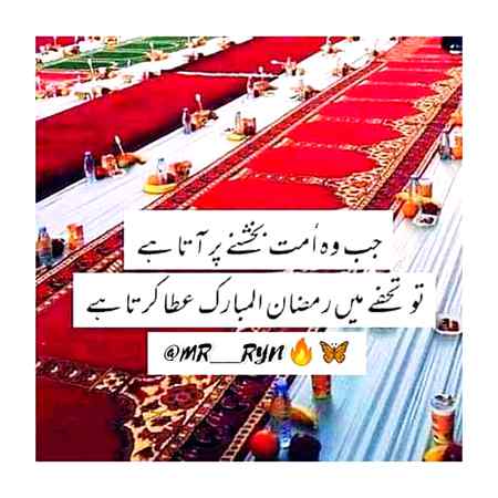😰میں نے اپنی ساری زندگی میں اتنا اداس رمضان نہیں دیکھا یا اللہ وہ پہلے والی رونقیں دوبارہ عطا فرماء آمین😰
Sumameen Anu Malik