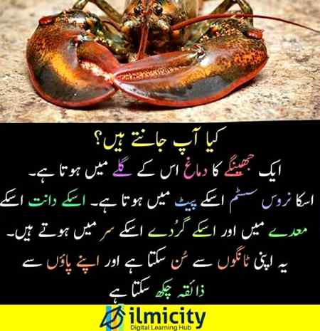 ....Knowledge.....