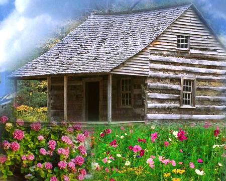 Good moring All frind 
 Spical my Dani mahii