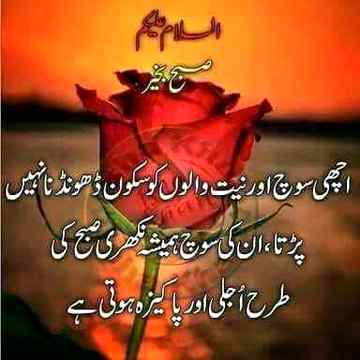 hlo friends