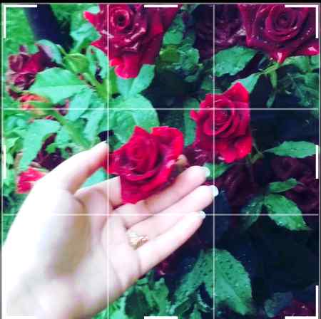 Lovely flowers..