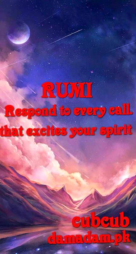 RUMI'S WORDS