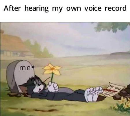 Shut that freaking voice up xD