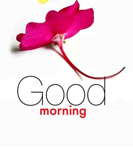 Good mornin😘😍