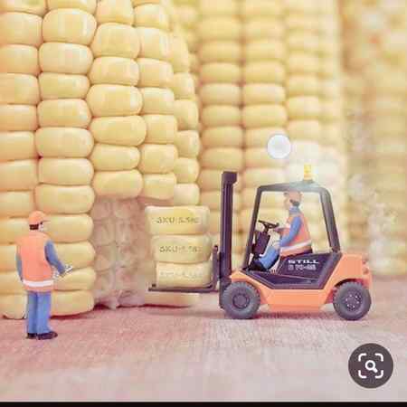 Tinny world working people
