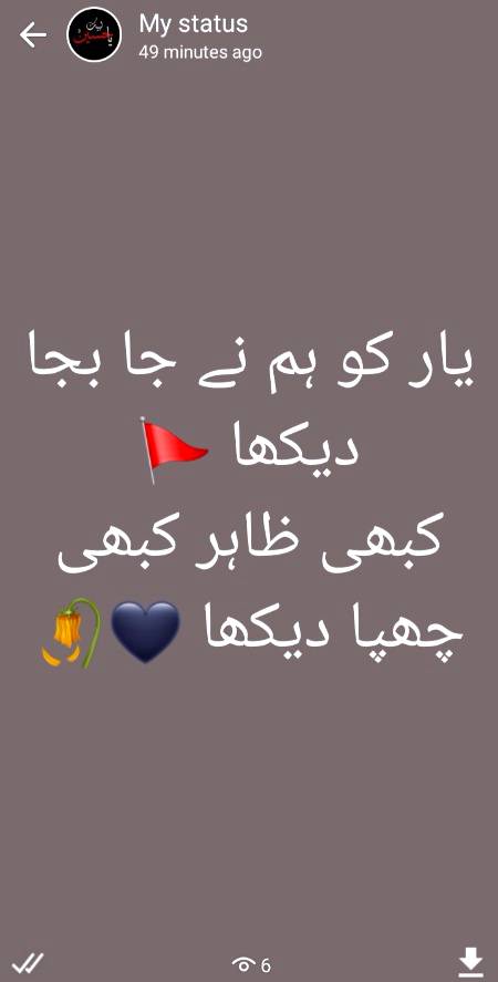 یار کو ہم نے جا بجا دیکھا 🚩
کبھی ظاہر کبھی چھپا دیکھا 🖤🥀