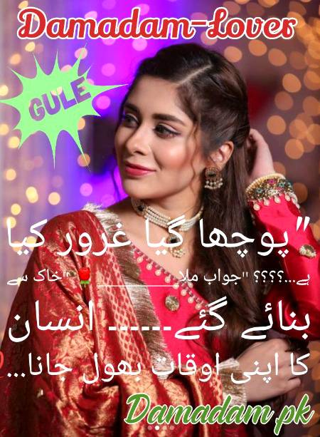 gule💕Damadam Lover🔥