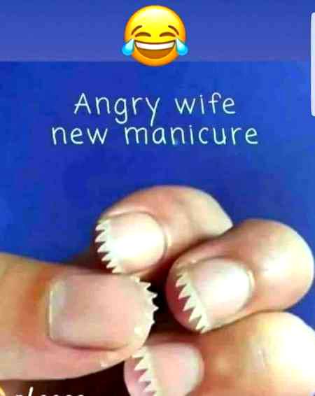 Jokes and memes