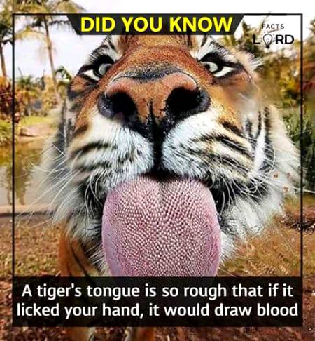 Unbelievable facts 💥💥