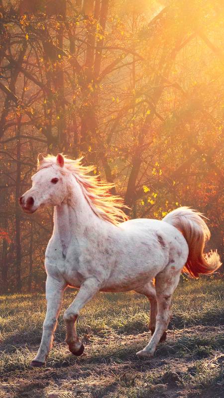 Wow nice photography