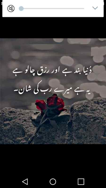 ❤🌻❤🌻❤❤🌻❤🌻❤🌻❤🌻❤🌻❤