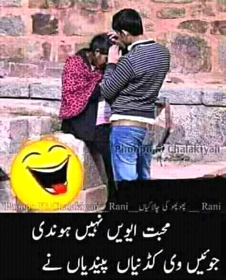 ha ha true love