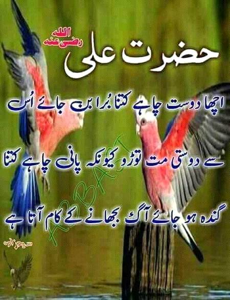 🌹🌹 subhanallah🌹🌹