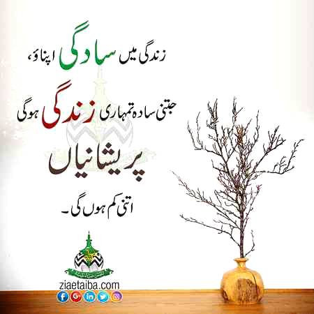 Mehar Zada