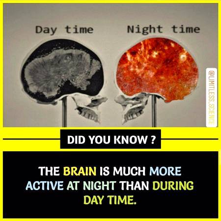 Do you know ?