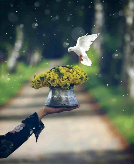 اچھے لوگوں کی قدر کیا کرو 
 اچھے لوگ روز روز نہیں ملتے اور میرے جیسے تو بلکل بھی نہیں😛😋😜