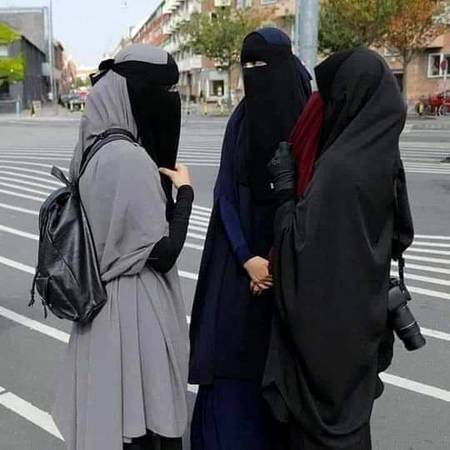 *عورت🧕🧕ایک موتی 📿📿 کی مانند ہے جس طرح*
موتی سیپی میں ہی اچھا لگتا ہے
بالکل اسی طرح عورت بھی پردے میں ہی اچھی لگتی ہے
کیونکہ *عورت* کے معنی لغت کے اعتبار سے ہوں یا اصطلاحی، یعنی چھپی ہوئی چیز یا چھپا ہوا خزانہ۔۔۔۔۔
 *پس ایک با پردہ اور نیک عورت ہی اصل میں موتی ہے۔*