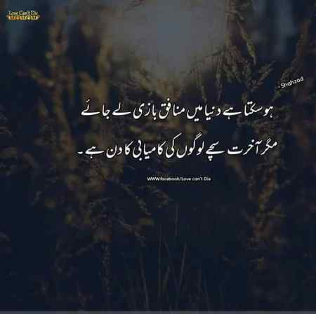 hlo friends