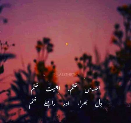 Nice word
