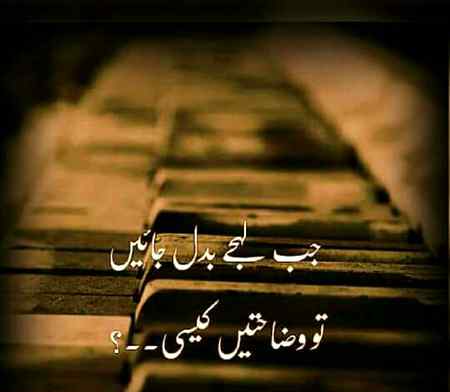 🍁Zoq_Shab🍁