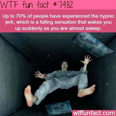 DID YOU KNOW ?