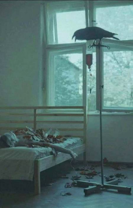 میرے لفظوں میں زندہ رہنے والے
میں تیری خاموشی میں مر گیا ہوں...!!