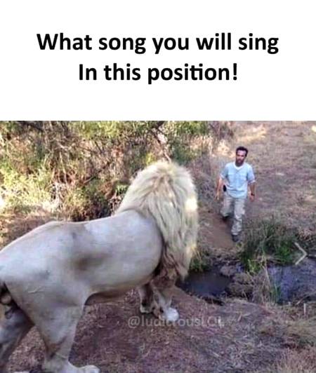 I'm not afraid (Eminem)