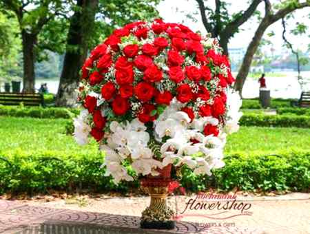 Asalam o aleekum morning