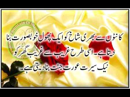 Right🌹🌹🌹